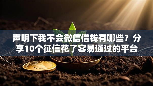声明下我不会微信借钱有哪些？分享10个征信花了容易通过的平台借款