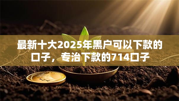 最新十大2025年黑户可以下款的口子，专治下款的714口子
