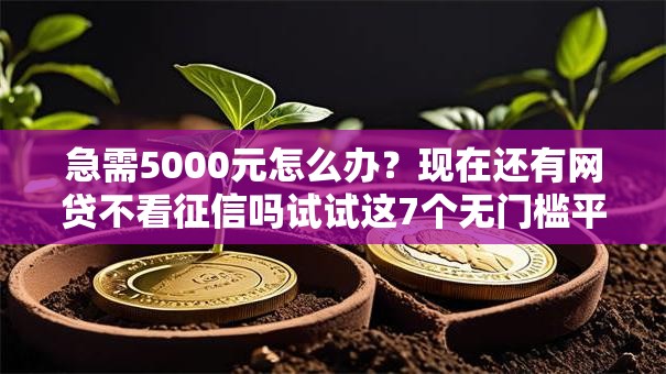 急需5000元怎么办?现在还有网贷不看征信吗试试这7个无门槛平台 急需5000元怎么办?现在还有网贷不看征信吗试试这7个无门槛平台