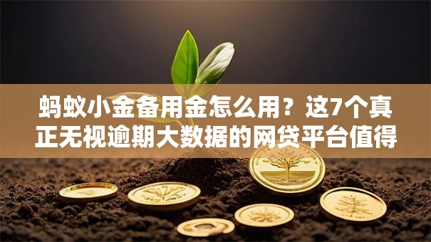 蚂蚁小金备用金怎么用?这7个真正无视逾期大数据的网贷平台值得一试 蚂蚁小金备用金怎么用?这7个真正无视逾期大数据的网贷平台值得一试