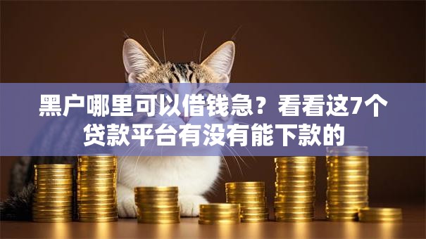 黑户哪里可以借钱急?看看这7个贷款平台有没有能下款的 黑户哪里可以借钱急?看看这7个贷款平台有没有能下款的