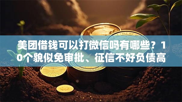 美团借钱可以打微信吗有哪些?10个貌似免审批、征信不好负债高的口子合集 美团借钱可以打微信吗有哪些?10个貌似免审批、征信不好负债高的口子合集