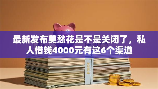 最新发布莫愁花是不是关闭了，私人借钱4000元有这6个渠道