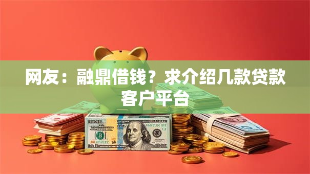 网友：融鼎借钱？求介绍几款贷款客户平台