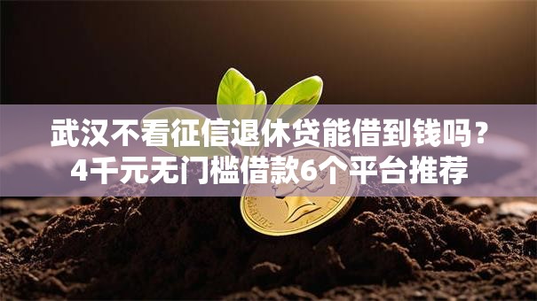 武汉不看征信退休贷能借到钱吗？4千元无门槛借款6个平台推荐