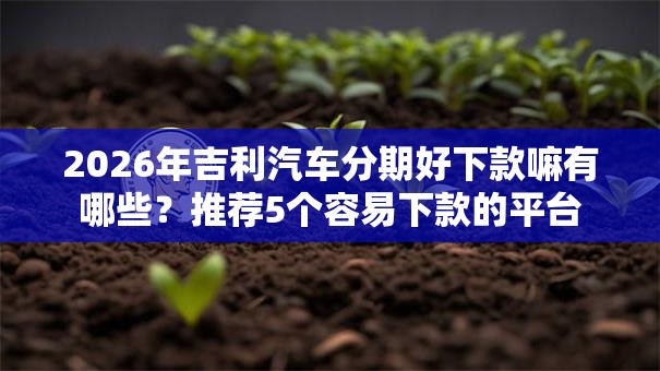 2026年吉利汽车分期好下款嘛有哪些？推荐5个容易下款的平台