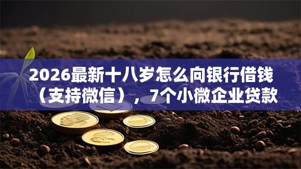 2026最新十八岁怎么向银行借钱（支持微信），7个小微企业贷款平台无私分享