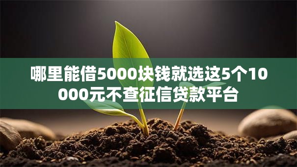 哪里能借5000块钱就选这5个10000元不查征信贷款平台 哪里能借5000块钱就选这5个10000元不查征信贷款平台