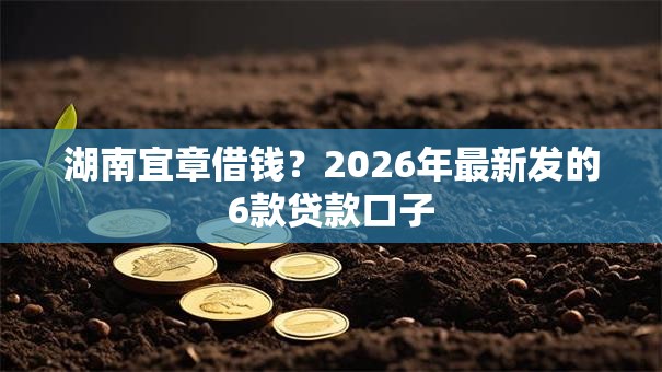 湖南宜章借钱？2026年最新发的6款贷款口子