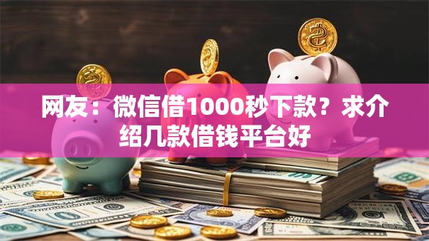 网友：微信借1000秒下款？求介绍几款借钱平台好