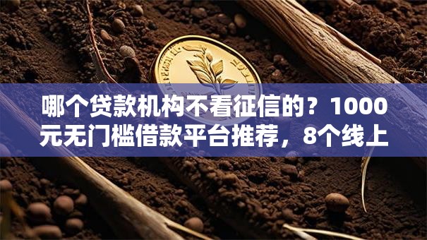 哪个贷款机构不看征信的？1000元无门槛借款平台推荐，8个线上贷款平台盘点