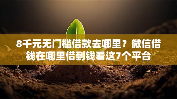 8千元无门槛借款去哪里？微信借钱在哪里借到钱看这7个平台