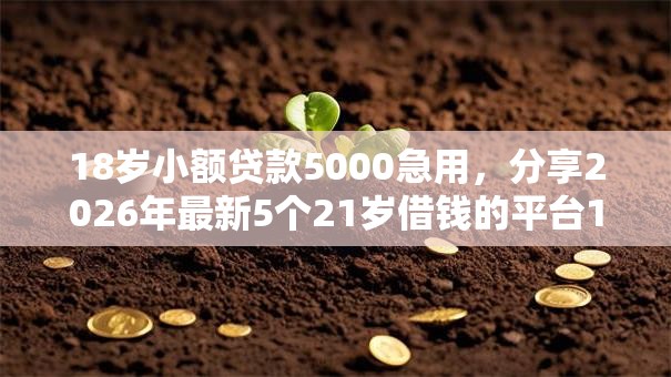 18岁小额贷款5000急用，分享2026年最新5个21岁借钱的平台100%能借到