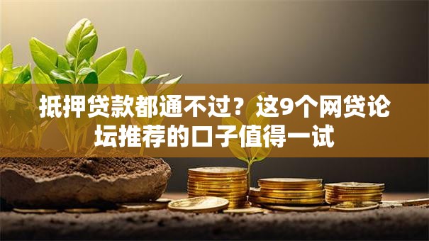 抵押贷款都通不过？这9个网贷论坛推荐的口子值得一试