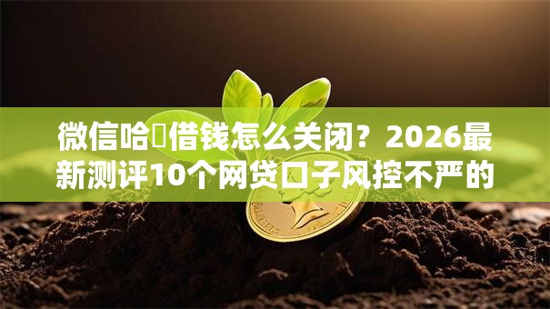 微信哈啰借钱怎么关闭?2026最新测评10个网贷口子风控不严的平台 微信哈啰借钱怎么关闭?2026最新测评10个网贷口子风控不严的平台