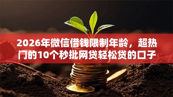 2026年微信借钱限制年龄,超热门的10个秒批网贷轻松贷的口子推荐 2026年微信借钱限制年龄,超热门的10个秒批网贷轻松贷的口子推荐