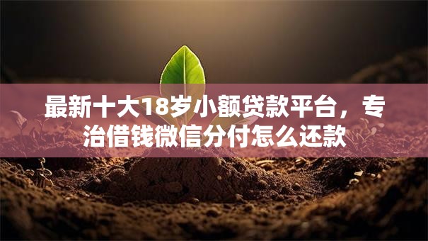 最新十大18岁小额贷款平台，专治借钱微信分付怎么还款