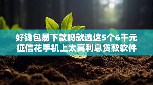 好钱包易下款吗就选这5个6千元征信花手机上太高利息贷款软件