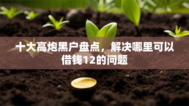 十大高炮黑户盘点,解决哪里可以借钱12的问题 十大高炮黑户盘点,解决哪里可以借钱12的问题