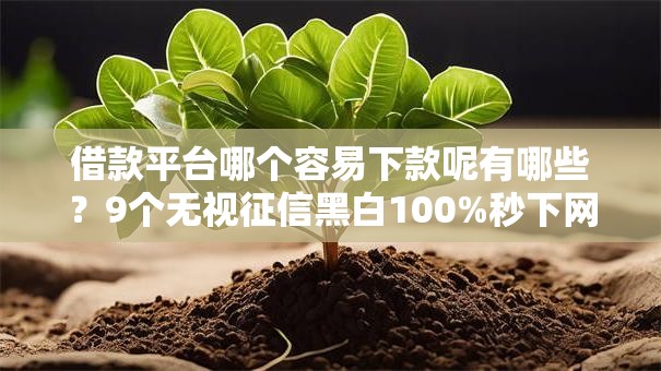 借款平台哪个容易下款呢有哪些?9个无视征信黑白100%秒下网贷软件推荐给你 借款平台哪个容易下款呢有哪些?9个无视征信黑白100%秒下网贷软件推荐给你
