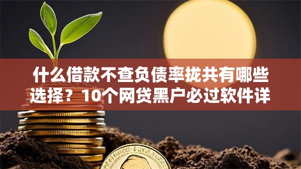 什么借款不查负债率拢共有哪些选择？10个网贷黑户必过软件详解