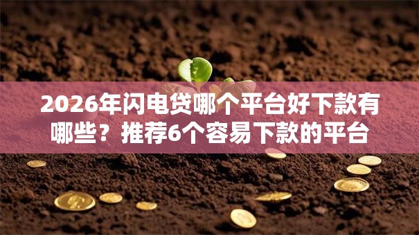 2026年闪电贷哪个平台好下款有哪些?推荐6个容易下款的平台 2026年闪电贷哪个平台好下款有哪些?推荐6个容易下款的平台
