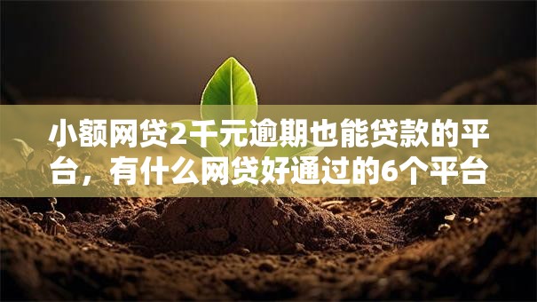 小额网贷2千元逾期也能贷款的平台，有什么网贷好通过的6个平台介绍