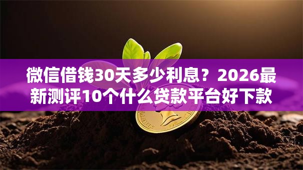 微信借钱30天多少利息？2026最新测评10个什么贷款平台好下款