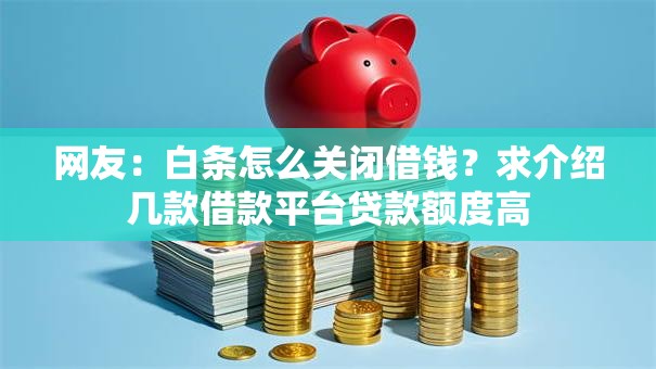 网友：白条怎么关闭借钱？求介绍几款借款平台贷款额度高
