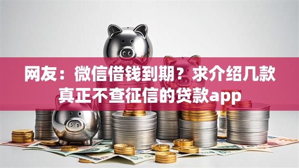 网友：微信借钱到期？求介绍几款真正不查征信的贷款app