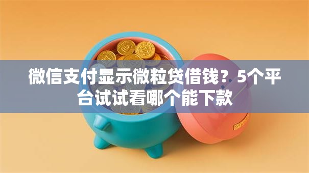 微信支付显示微粒贷借钱？5个平台试试看哪个能下款