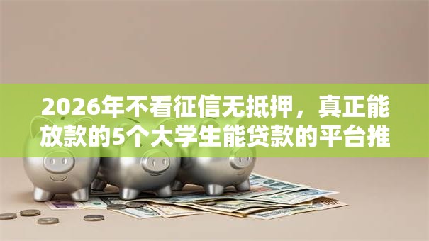 2026年不看征信无抵押，真正能放款的5个大学生能贷款的平台推荐