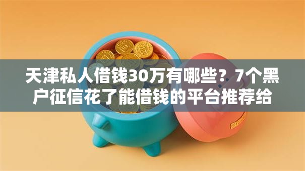 天津私人借钱30万有哪些？7个黑户征信花了能借钱的平台推荐给你