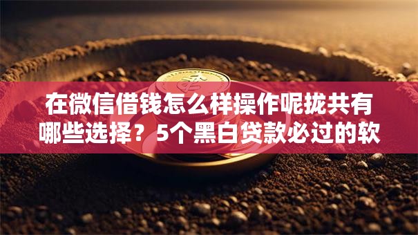 在微信借钱怎么样操作呢拢共有哪些选择？5个黑白贷款必过的软件详解