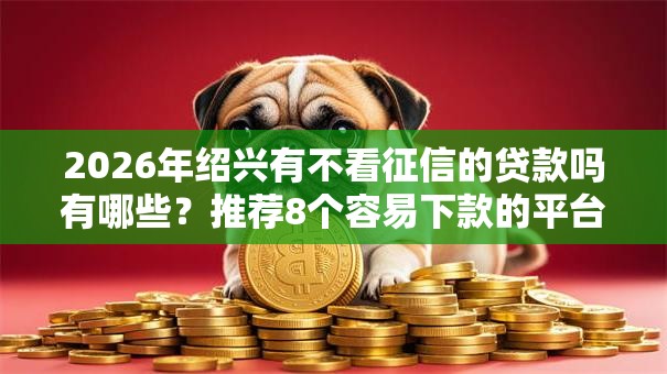 2026年绍兴有不看征信的贷款吗有哪些？推荐8个容易下款的平台