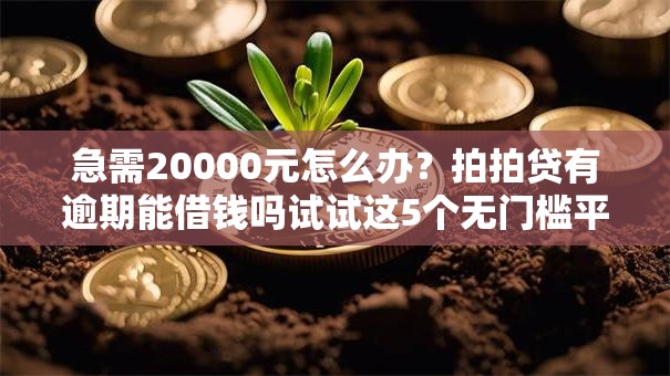 急需20000元怎么办?拍拍贷有逾期能借钱吗试试这5个无门槛平台 急需20000元怎么办?拍拍贷有逾期能借钱吗试试这5个无门槛平台