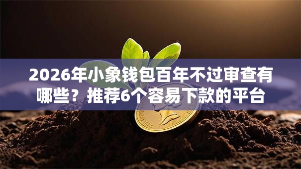 2026年小象钱包百年不过审查有哪些？推荐6个容易下款的平台