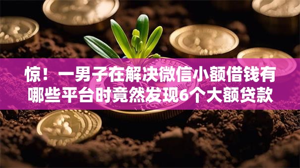 惊！一男子在解决微信小额借钱有哪些平台时竟然发现6个大额贷款平台，事后分享了出来