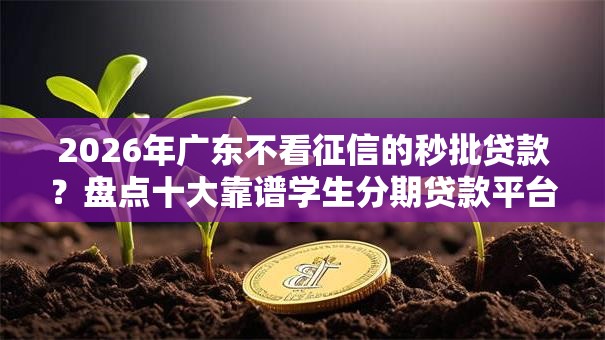 2026年广东不看征信的秒批贷款？盘点十大靠谱学生分期贷款平台