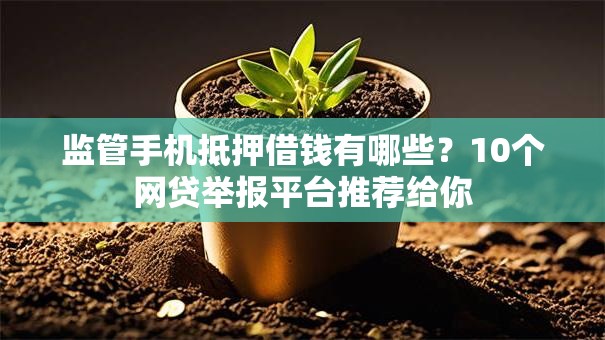 监管手机抵押借钱有哪些?10个网贷举报平台推荐给你 监管手机抵押借钱有哪些?10个网贷举报平台推荐给你