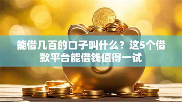 能借几百的口子叫什么？这5个借款平台能借钱值得一试