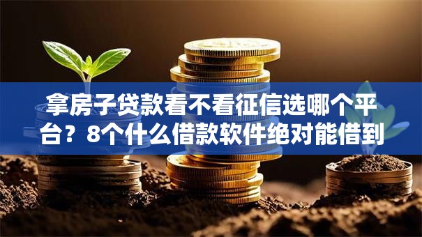 拿房子贷款看不看征信选哪个平台？8个什么借款软件绝对能借到钱推荐