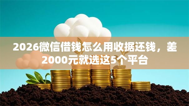2026微信借钱怎么用收据还钱，差2000元就选这5个平台