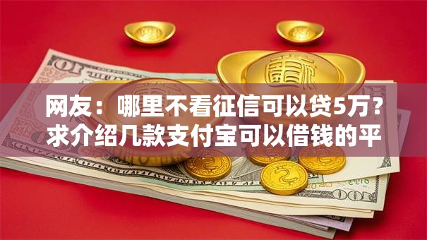 网友：哪里不看征信可以贷5万？求介绍几款支付宝可以借钱的平台