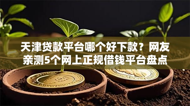 天津贷款平台哪个好下款？网友亲测5个网上正规借钱平台盘点