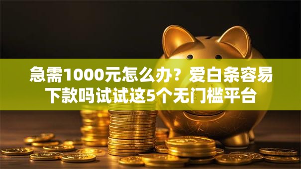急需1000元怎么办？爱白条容易下款吗试试这5个无门槛平台