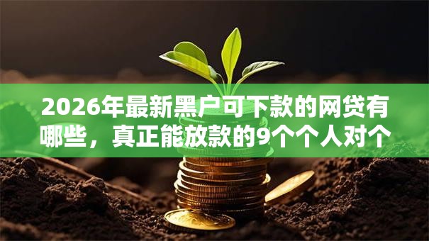 2026年最新黑户可下款的网贷有哪些，真正能放款的9个个人对个人贷款平台推荐