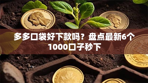 多多口袋好下款吗？盘点最新6个1000口子秒下