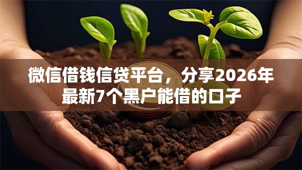 微信借钱信贷平台，分享2026年最新7个黑户能借的口子