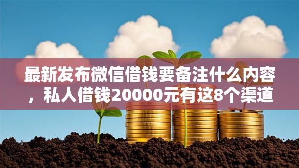 最新发布微信借钱要备注什么内容，私人借钱20000元有这8个渠道